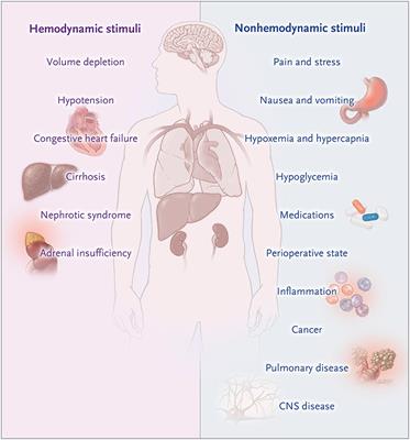 Misconceptions and Barriers to the Use of Hypertonic Saline to Treat Hyponatremic Encephalopathy